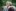 Retirement marks the beginning of a new phase in l...